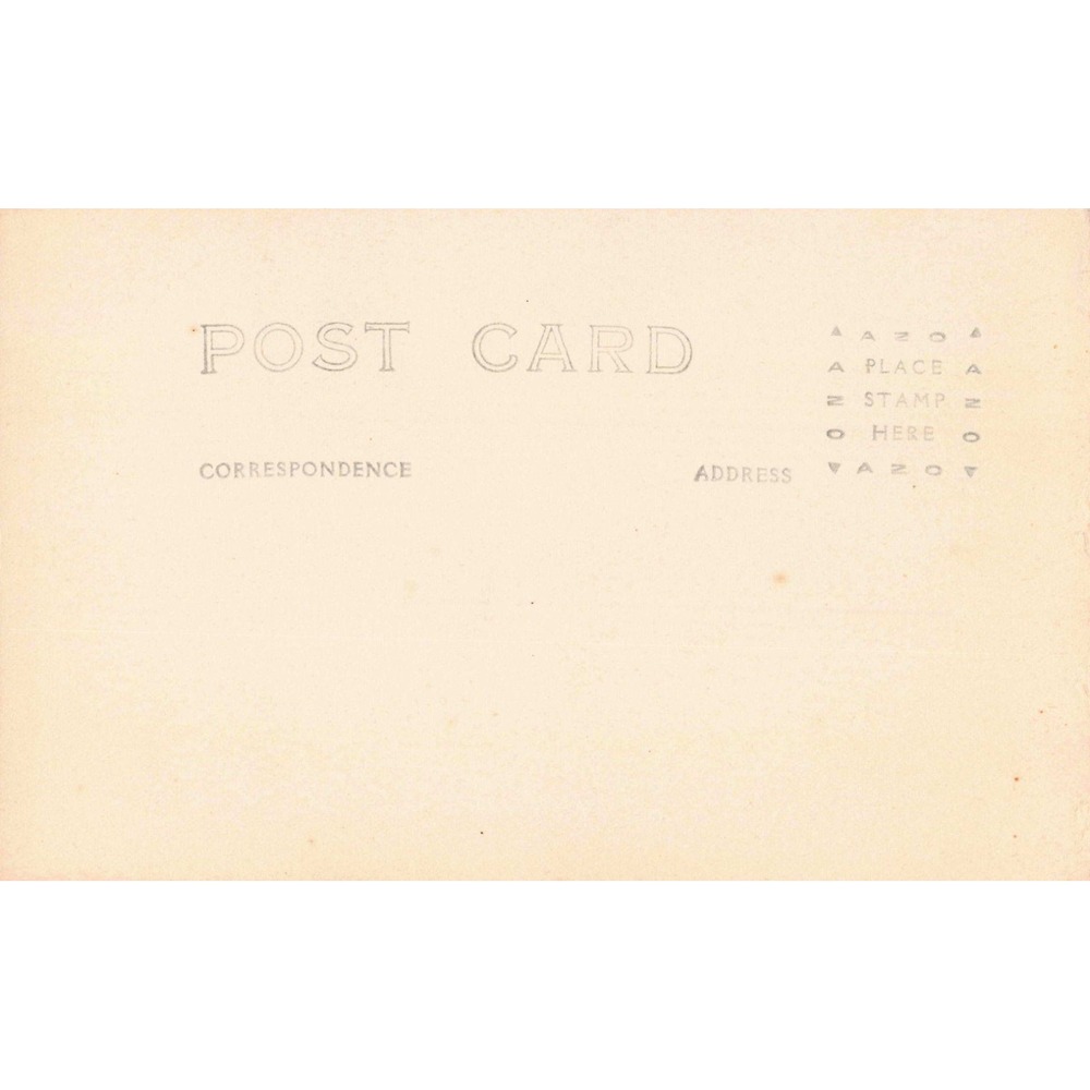 Vintage P.A. Cot The Storm Metropolitan Museum of Art AZO Postcard Sepia VG - Picture 2 of 2